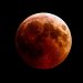 Blood Moon